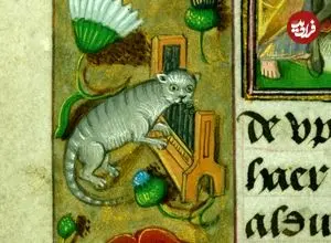 «ردپای گربه‌ها» روی کتاب‌هایی با قدمت چند قرن