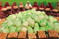 ببینید| غذای روستایی در هند؛ تهیه املت با 200 کیلو کلم و 500 تخم مرغ در طبیعت