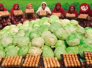 ببینید| غذای روستایی در هند؛ تهیه املت با 200 کیلو کلم و 500 تخم مرغ در طبیعت