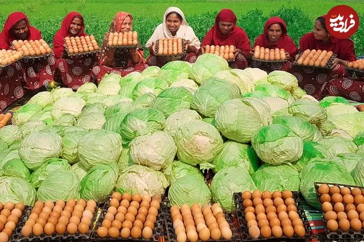 ببینید| غذای روستایی در هند؛ تهیه املت با 200 کیلو کلم و 500 تخم مرغ در طبیعت