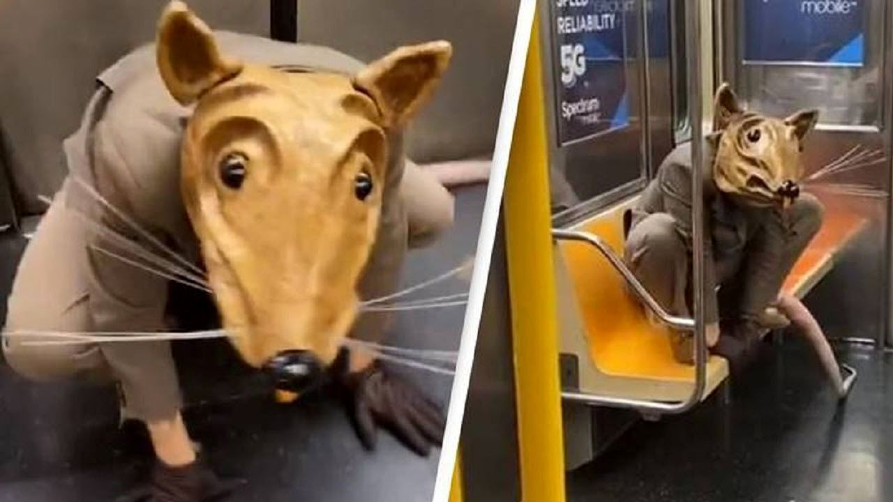 (ویدئو) حضور موش غول پیکر در مترو نیویورک