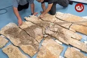 فسیل استثنایی «اژدهای خاردار» با قدمت 125 میلیون سال در چین پیدا شد