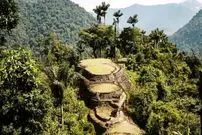 کشف شهری بزرگ که زیر درختان مخفی شده بود