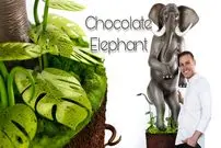 ببینید| مراحل درست کردن یک فیل دو متری با شکلات به روش قناد ماهر آمریکایی