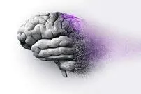 عشق، درمان آلزایمر؛ اکسی توسین به هورمون عشق معروف است