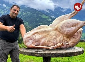 ببینید؛ غذای روستایی در آذربایجان؛ کباب کردن یک شترمرغ کامل در تنور در طبیعت