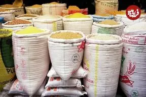 جدول؛ قیمت این برنج پاکستانی هم کیلویی ۳۵۵ هزار تومان شد