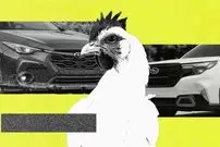 عکس| استفاده از خودروی سوبارو برای جابجایی مرغ و خروس