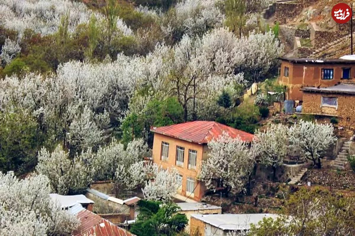 سفر به تهران قدیم؛ عکس‌های اختصاصی از تهران در بهار ۵۰ سال قبل!