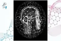 علم چه می‌گوید؛ آیا ما فقط از ۱۰ درصد توان مغز خود استفاده می‌کنیم؟