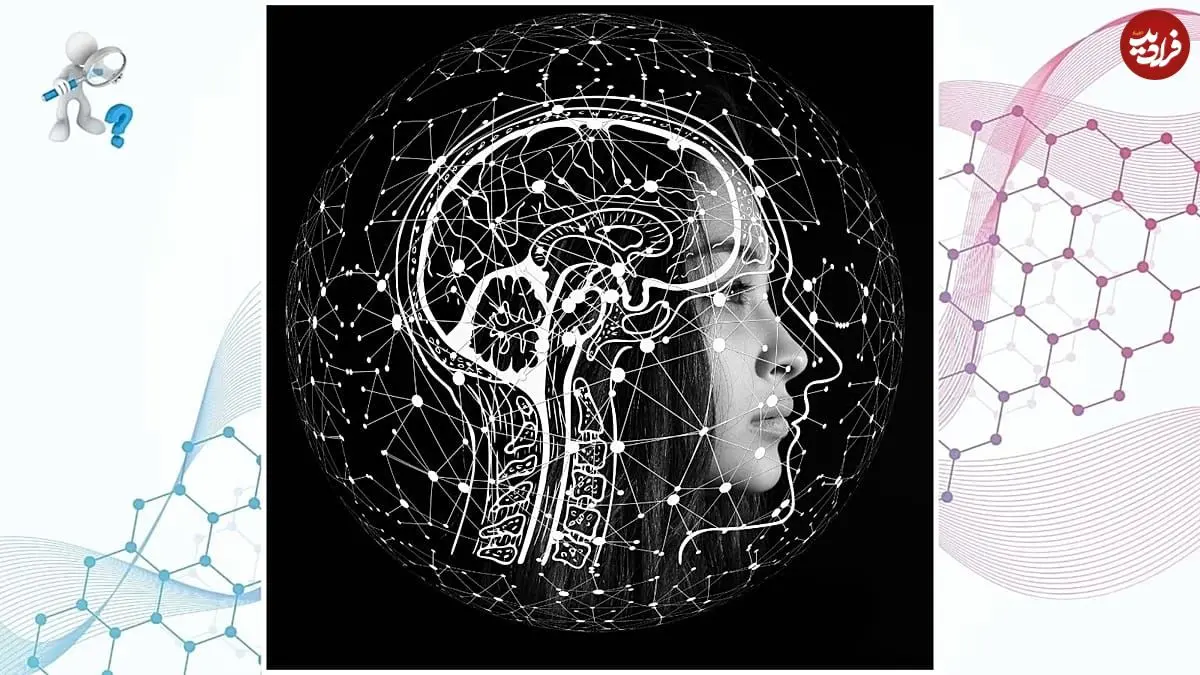 علم چه می‌گوید؛ آیا ما فقط از ۱۰ درصد توان مغز خود استفاده می‌کنیم؟