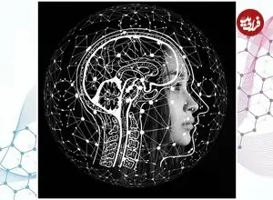 علم چه می‌گوید؛ آیا ما فقط از ۱۰ درصد توان مغز خود استفاده می‌کنیم؟