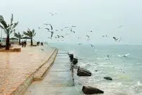 تجربه‌ای متفاوت از ایران‌گردی: سفر به بوشهر