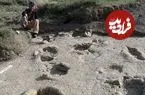 ردپاهای غول‌پیکر مغولستان متعلق به جانورانی هستند؟
