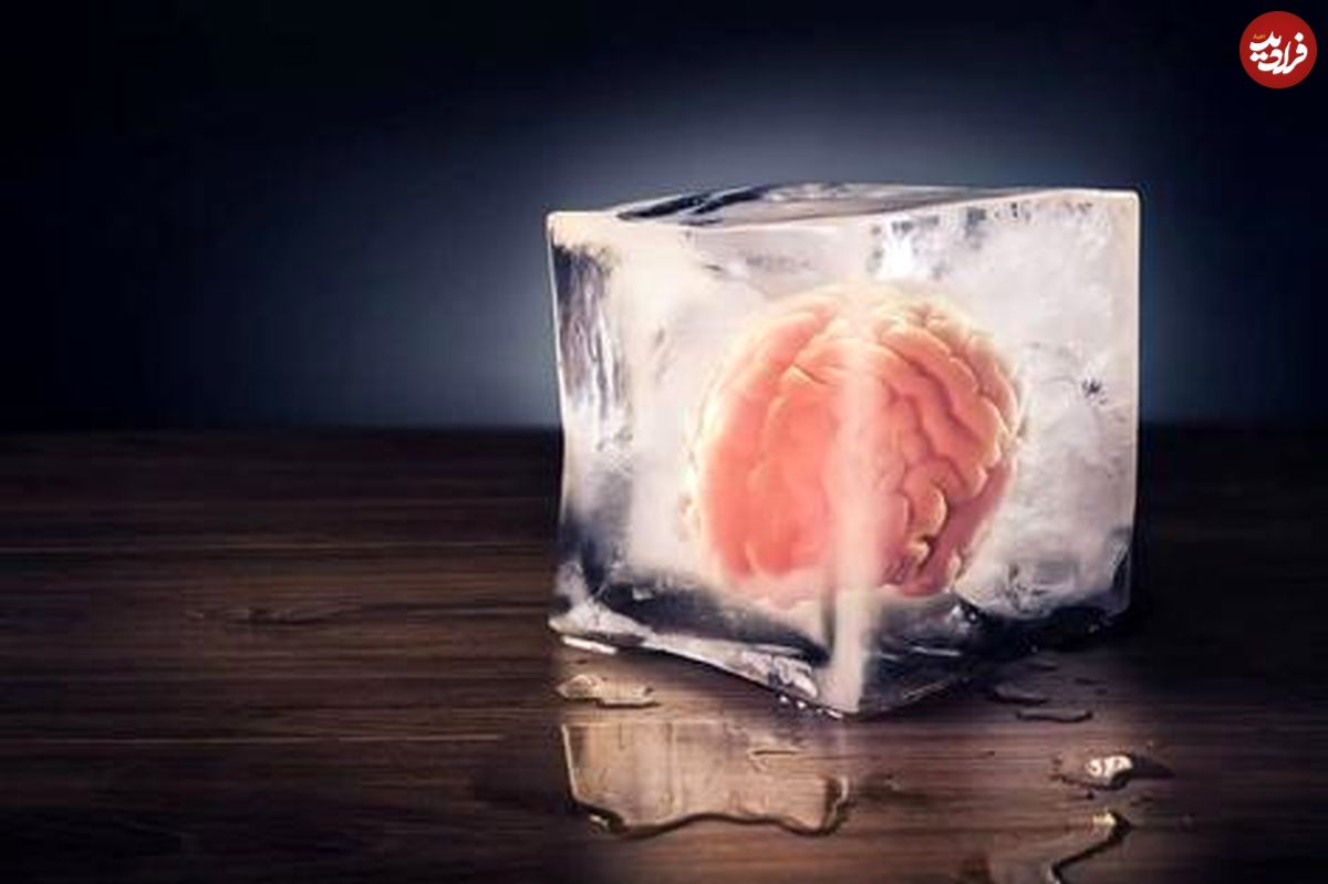چگونه پژوهشگران چینی بافت مغز را پس از ۱۸ ماه انجماد، احیا کردند؟