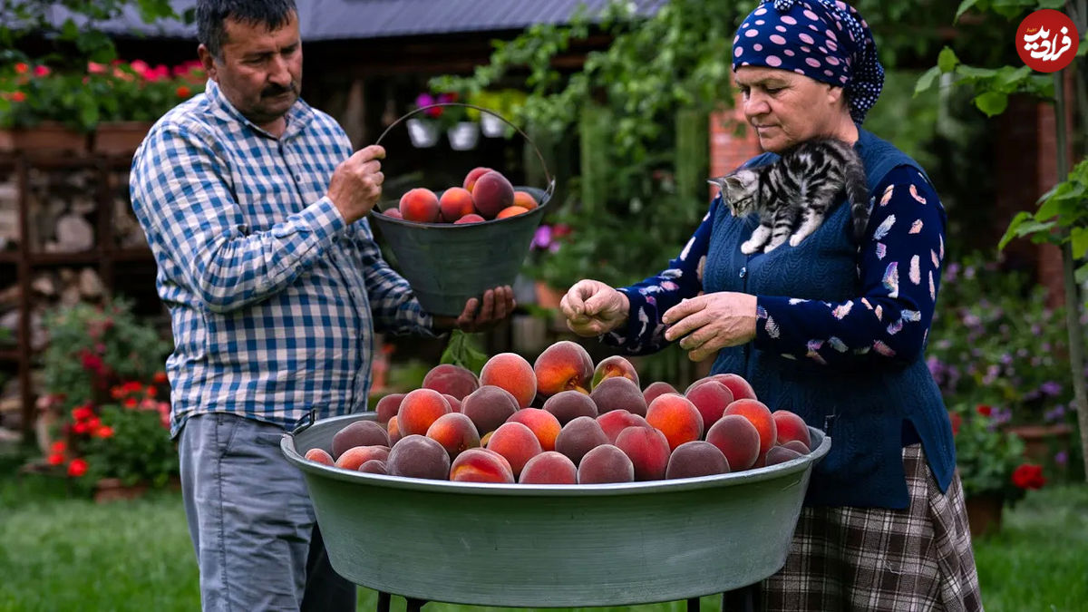 (ویدئو) نمایی نزدیک از تهیه آبمیوه هلو توسط پدربزرگ و مادربزرگ آذربایجان 