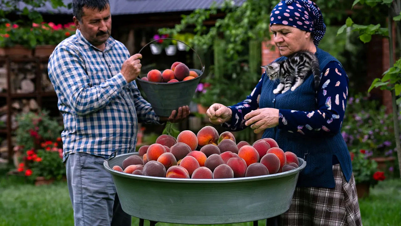 (ویدئو) نمایی نزدیک از تهیه آبمیوه هلو توسط پدربزرگ و مادربزرگ آذربایجان 