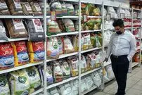 قیمت جدید برنج ایرانی و پاکستانی در بازار