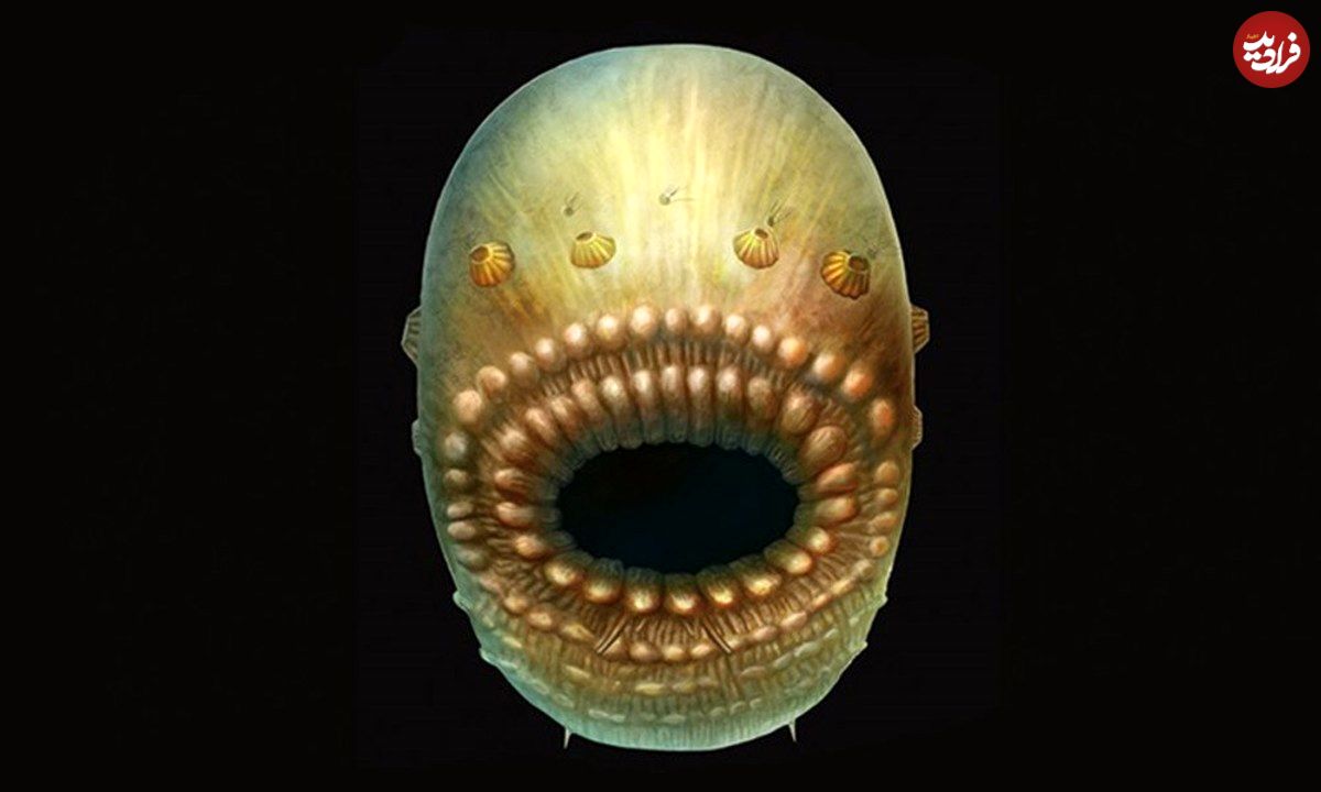 (تصاویر) کشف معمای عجیب این موجود باستانی دارای دهان و فاقد مقعد