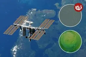 تصاویر| کرم‌های یک میلی‌متری در مسیر ایستگاه فضایی؛ ماموریتی برای سفرهای طولانی به ماه