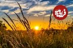 آغاز انقلاب تابستانی در نیمکره شمالی زمین