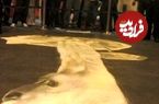 عکس؛ هنر خیابانی؛ خلاقیت هنرمند بریتانیایی که در مرکز خرید یک «خرس قطبی خیالی» خلق کرده است