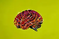 مغزتان را بیمه کنید؛ توصیه‌هایی که خودِ جراحان مغز به آن پایبندند