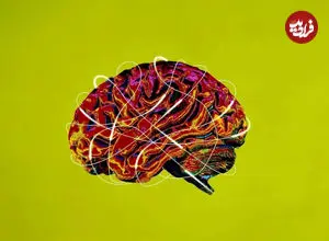 مغزتان را بیمه کنید؛ توصیه‌هایی که خودِ جراحان مغز به آن پایبندند