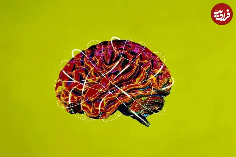 مغزتان را بیمه کنید؛ توصیه‌هایی که خودِ جراحان مغز به آن پایبندند