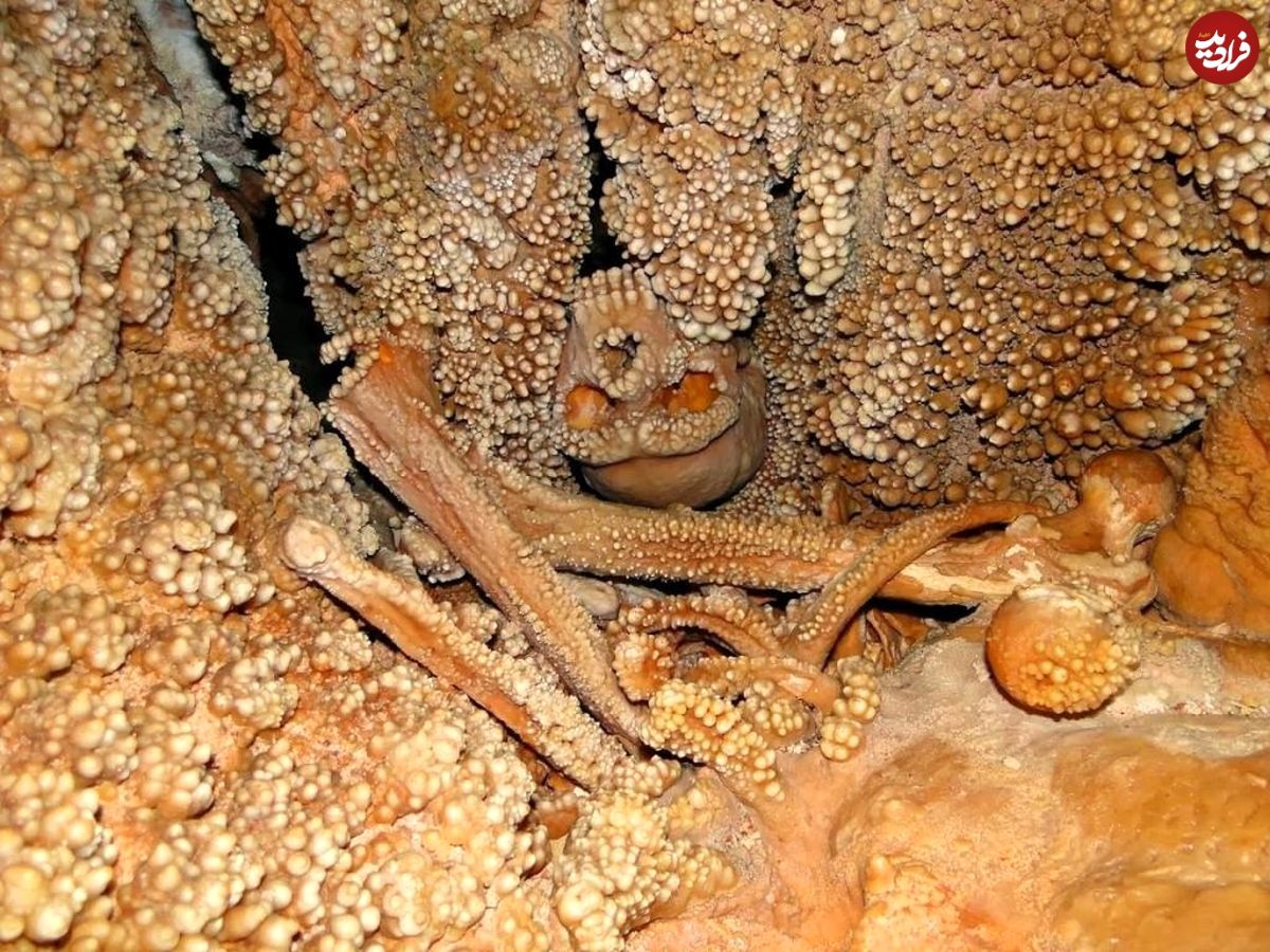 (تصاویر) فسیل ترسناک مردی که ۱۸۰ هزار سال قبل در چاه افتاد!