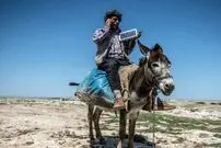 ویدئو) ابتکار عجیب و غریب یک شهروند برای شارژ کردن گوشی به کمک یک الاغ