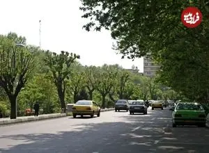 عکس| سفر به ایران قدیم؛ بلوار الیزابت دوم (کشاورز فعلی) در تهران؛ دهه 50