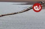 ببینید| نمایان شدن پل ۴۰۰ ساله با کاهش سطح آب دریاچه