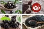 راز سیاهی؛ جادوی خوراکی‌های تیره در سبد غذایی ما