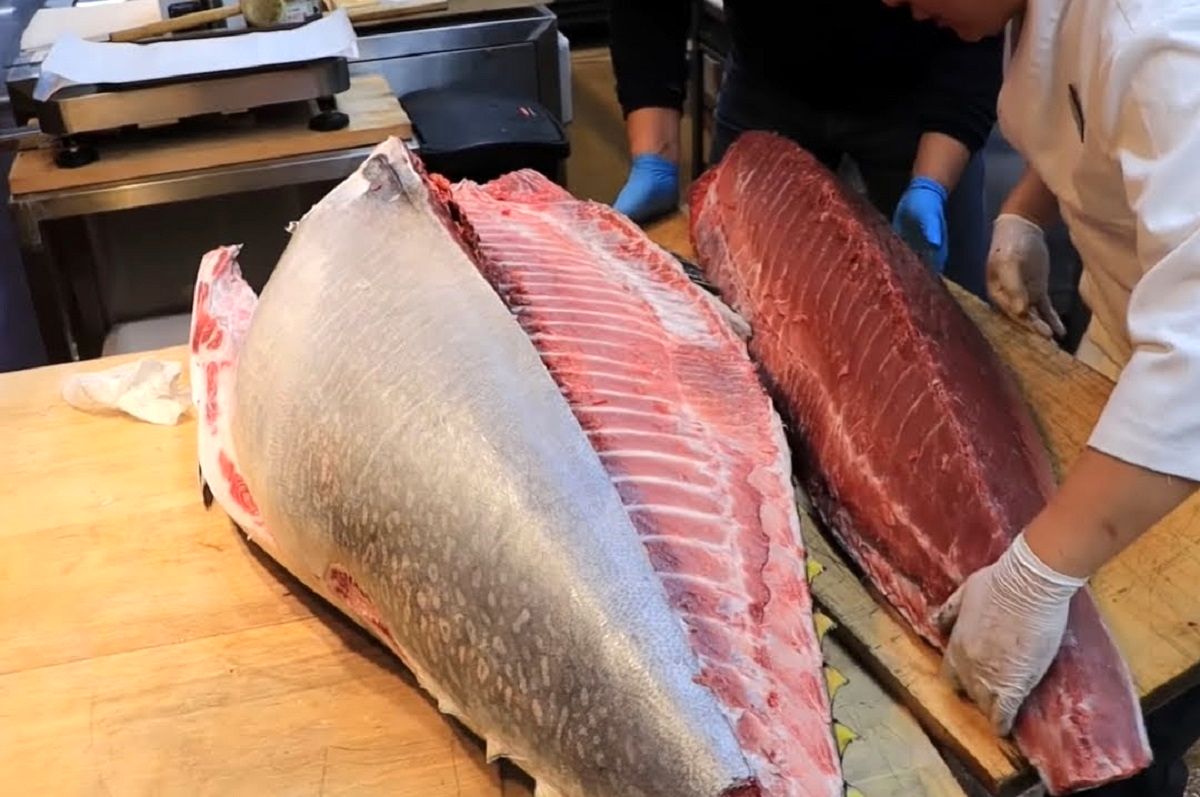 (ویدئو) مهارت دیدنی و شگفت انگیز برش زدن ماهی تن غول پیکر