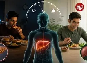 غذا خوردن در اواخر شب، سلامت کبد را به خطر می‌اندازد!