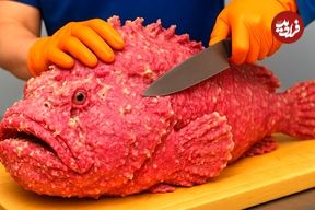 ببینید؛ برش ماهی های عجیب اقیانوسی و تهیه غذاهای مختلف با آن ها در هنگ کنگ