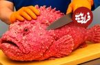 ببینید؛ برش ماهی های عجیب اقیانوسی و تهیه غذاهای مختلف با آن ها در هنگ کنگ