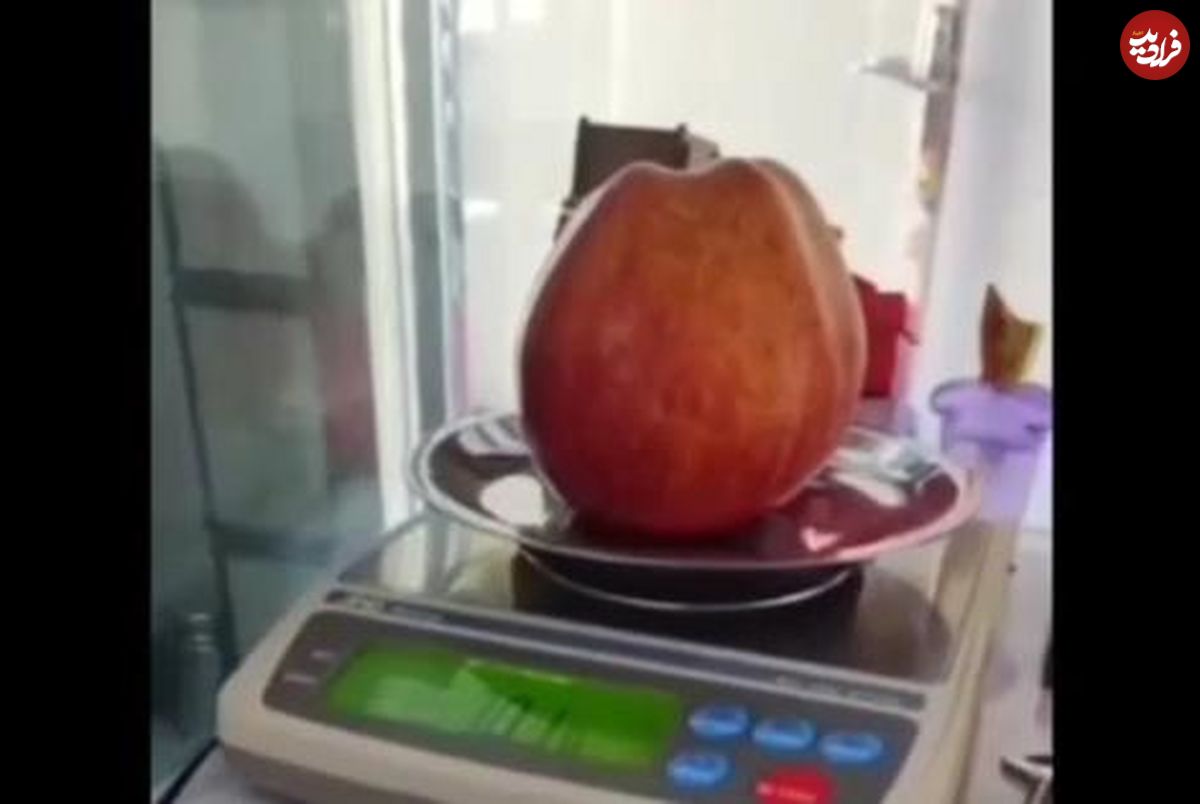 ( ویدیو) سیب نیم کیلویی در ایران 