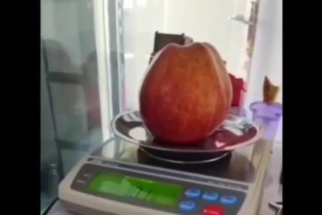 ( ویدیو) سیب نیم کیلویی در ایران 