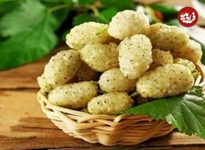 خوردن این میوه برابر است با یک داروی ضدافسردگی!