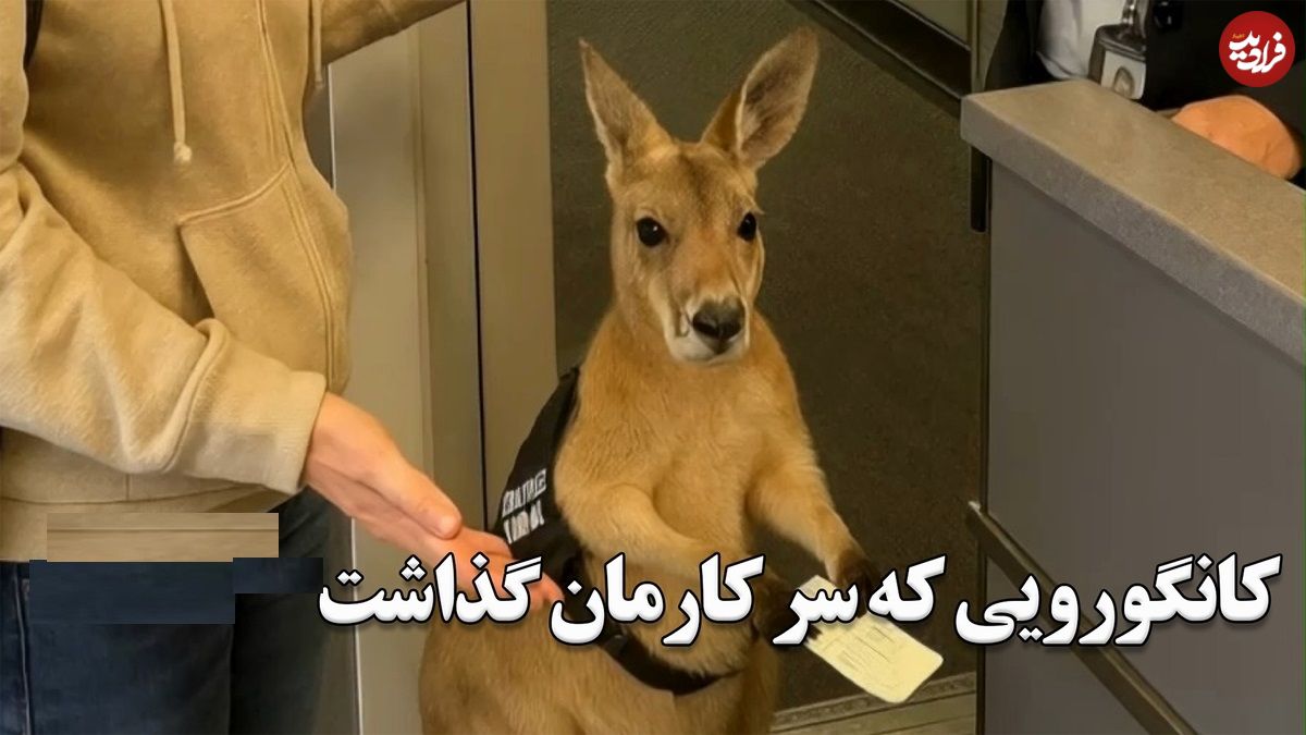 ببینید؛ کانگوروی بلیط به دست و ویدئوهای جعلی هوش مصنوعی که جهان را فریب داد