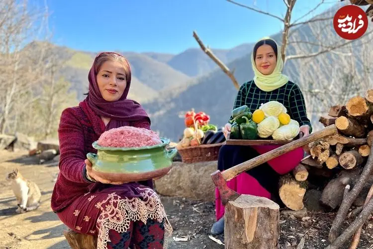 ببینید| غذای روستایی در ایران؛ پخت دلمه با کلم، گوجه فرنگی؛ فلفل و بادمجان در طبیعت