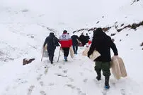 مردم این شهرها گرفتار برف و کولاک شدند
