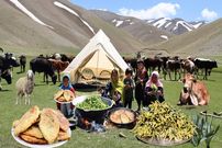 ببینید؛ غذای عشایری در افغانستان؛ جمع آوری سبزی کوهی و پخت منتو
