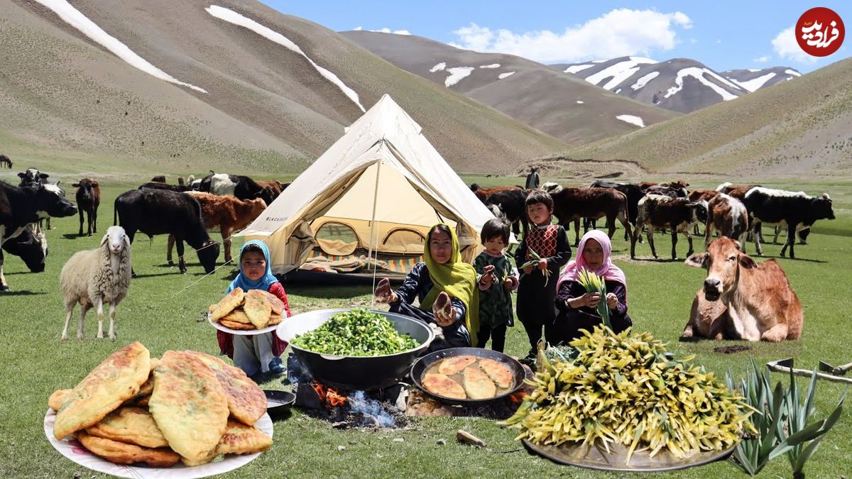 ببینید؛ غذای عشایری در افغانستان؛ جمع آوری سبزی کوهی و پخت منتو
