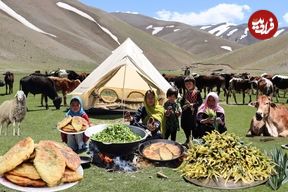 ببینید؛ غذای عشایری در افغانستان؛ جمع آوری سبزی کوهی و پخت منتو