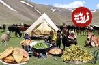 ببینید؛ غذای عشایری در افغانستان؛ جمع آوری سبزی کوهی و پخت منتو