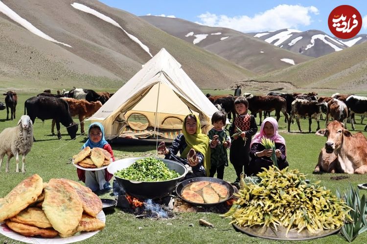 ببینید؛ غذای عشایری در افغانستان؛ جمع آوری سبزی کوهی و پخت منتو
