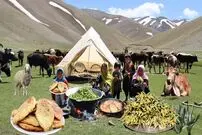 ببینید؛ غذای عشایری در افغانستان؛ جمع آوری سبزی کوهی و پخت منتو